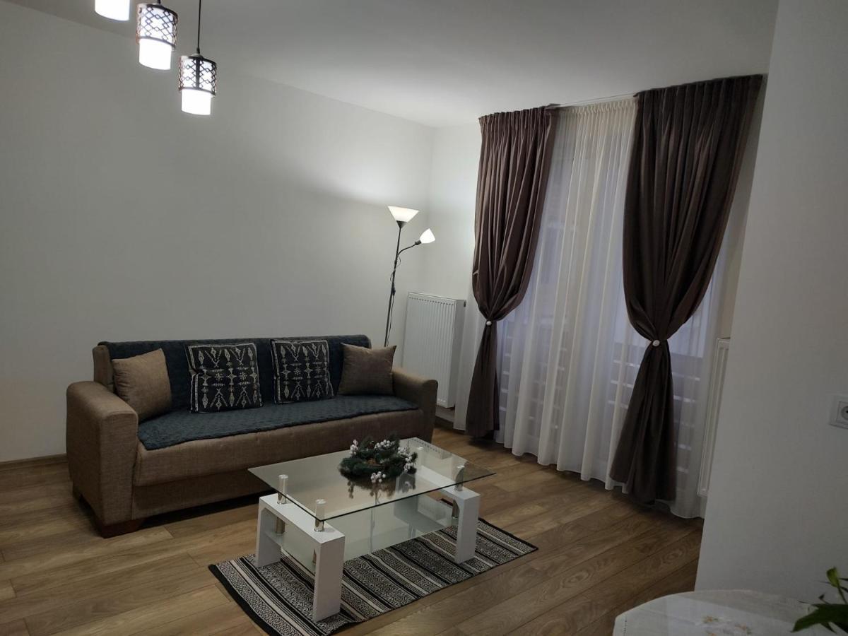 Апартаменти Casa Ioana Тиргу-Муреш Екстер'єр фото